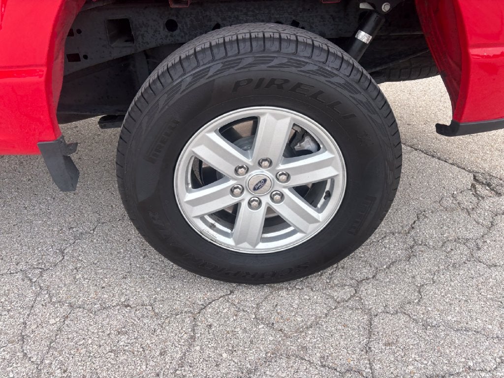 2025 Ford F-150 XL